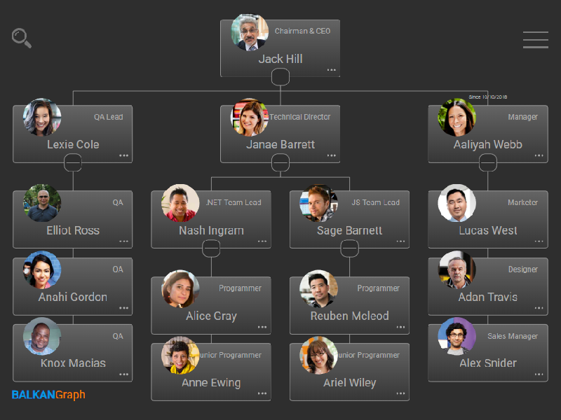 Windows 8 BALKAN OrgChartJS full